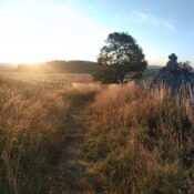 2020_panorama_3_tour_des_monts_d_aubrac_c_qbelmondo